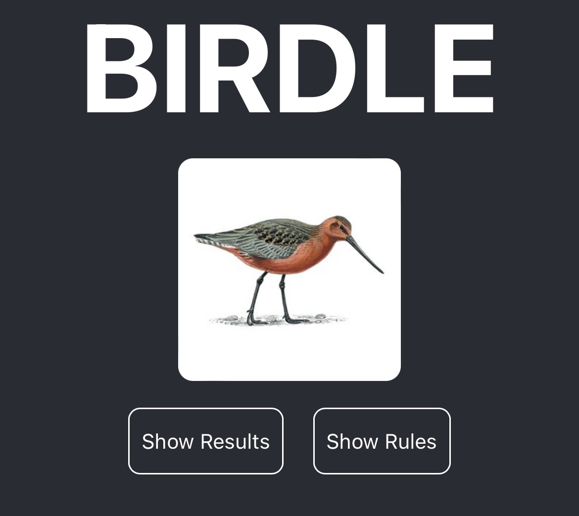 Birdle